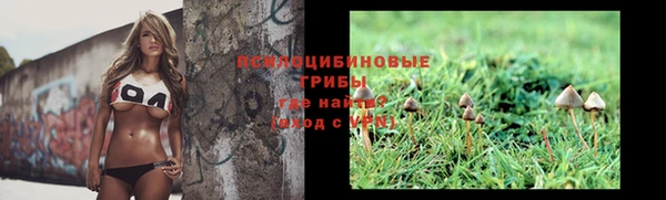 хмурый Абдулино