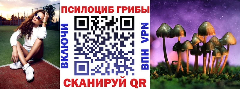 Псилоцибиновые грибы GOLDEN TEACHER  Новосибирск 